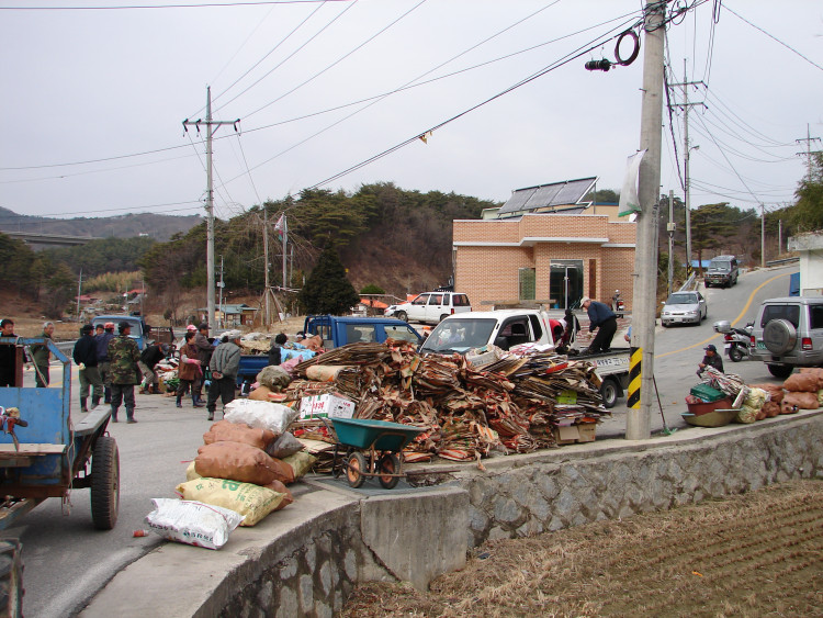 점심 시간 직전의 모습