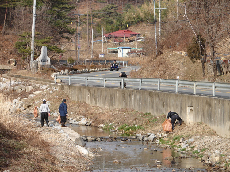 어르신들께서는 하천 청소및 도로주변 청소