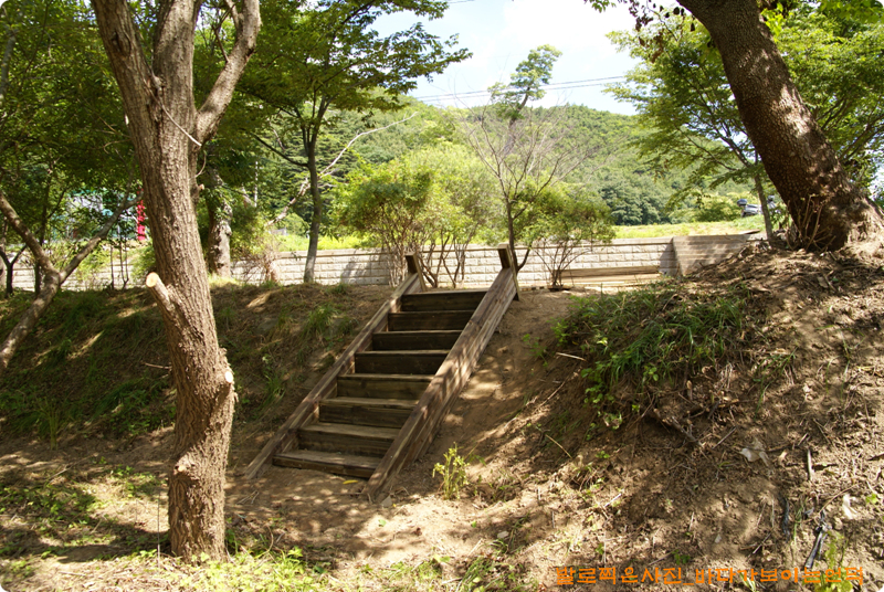 갈대숲으로 내려오는 계단도 작은것이 하나 설치 되었다.
