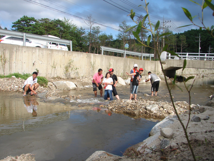 물장구는 치는데 다람쥐는 안보이네요