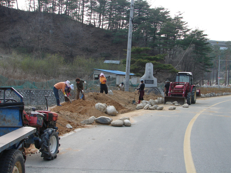 나무와 화초를 집집마다 한두 뿌리 가지고 나와서 꽃 자랑도 하고 자식 자랑도 하고 추억 애기도 함께
