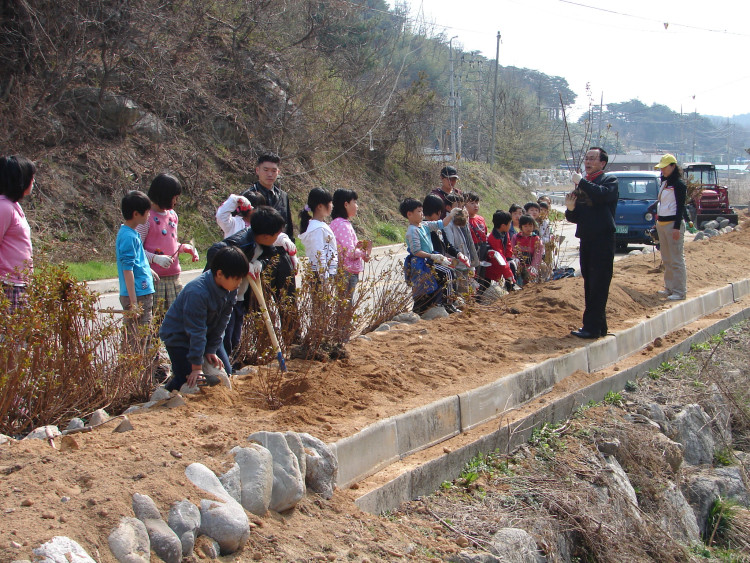 줄맞추어 심기에 본격적으로 들어가고 개울에서 물도 퍼다주고