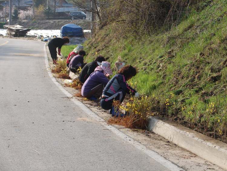 봄날에 즐거움을 위하여 