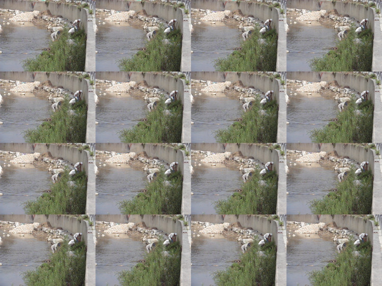 풀베기 조는 열심히 풀 제거에 최선을 다하는 모습 아름답군요