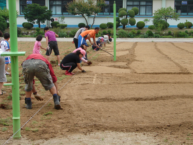 1시간이 지나자 오여들기 시작 하더군요 지원군 만세 만만세