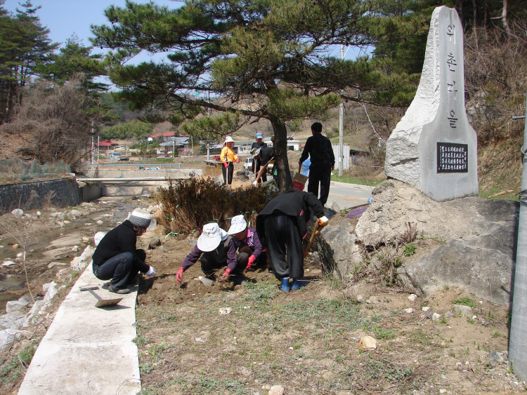 반대쪽 하단 흙이 들어올것을 대비하여 바닥에 잡초제거하고