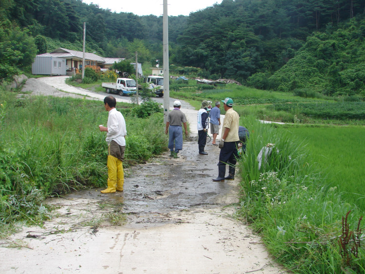 나올때까지 찾는다 찾았다 싶으면 있구나 있구나 하면서 노래 가락 흘러 나오고
