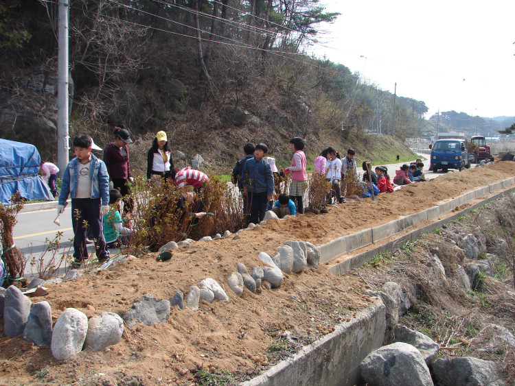 처음에는 마을 남자분들이 이제는 송양초등학교 학생과 부녀회원들이 함께