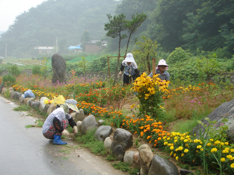 잘 정리된 화단을 다시한번더 정리하며 해바라기공원조성 완료
