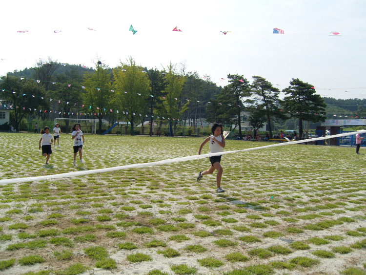 달기 모습입니다 옛날에는 1등은 못했어도 잘 달렸지요