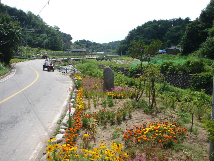 세월이지나 꽃이 열매로 마을 사람에게 보답하니 우리마을 좋올시구