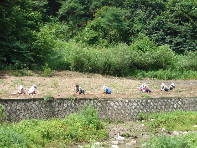 들판이 정리되어 푸른색으로 색칠한듯 자리가 나고