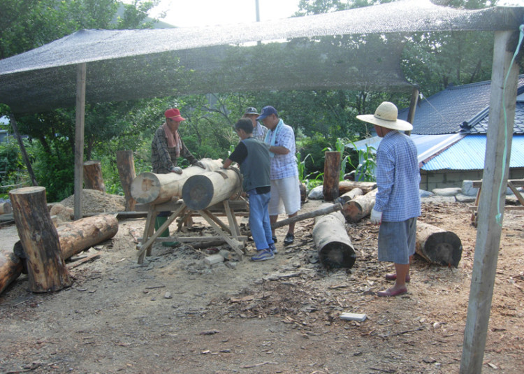 정자의 기둥을 목도하기 위해