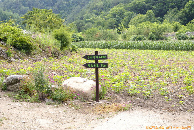 찍소폭포로 향하는 길을 표시하는 이정표입니다.