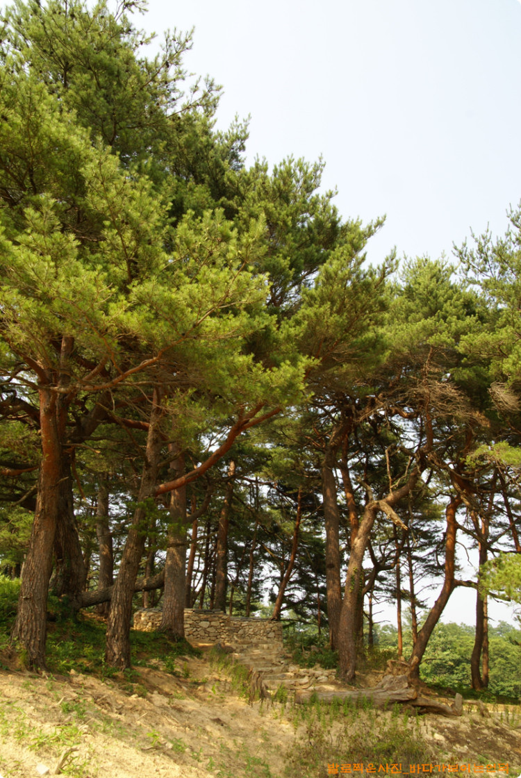 조금 멀리서 바라본 모습입니다. 