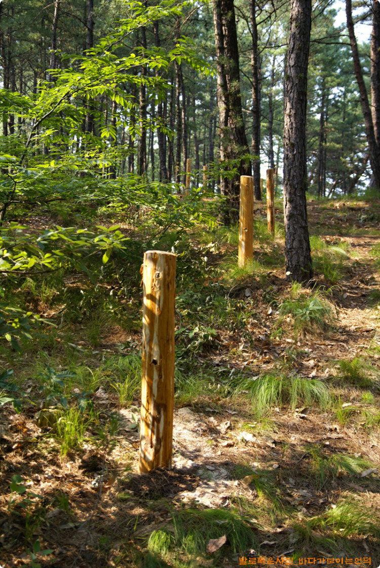 무엇인가 경계를 만들려는 듯 합니다. 