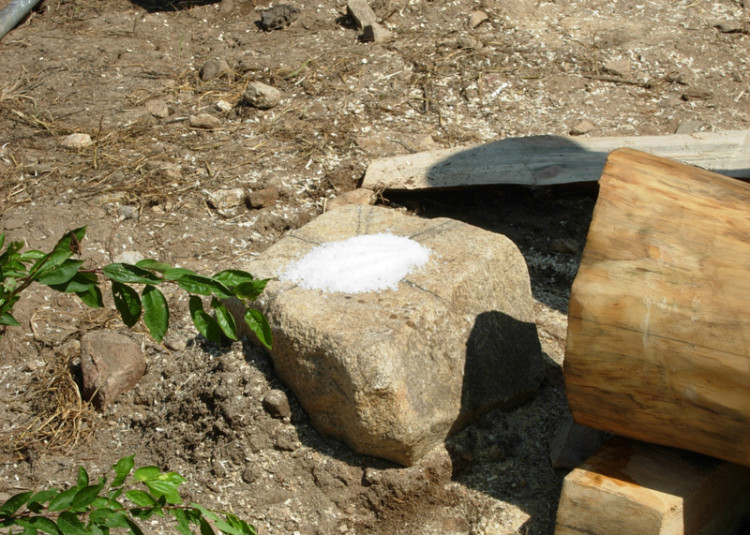 기초석과 기둥 사이에 방충효과를 주기 위한 소금