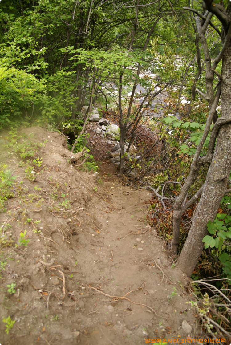 숲으로 들어가기전 하천변 마지막 구간입니다. 