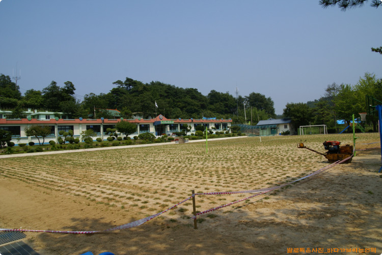 학생등과 마을 주민들 그리고 선생님들이 함께 만든 잔디운동장