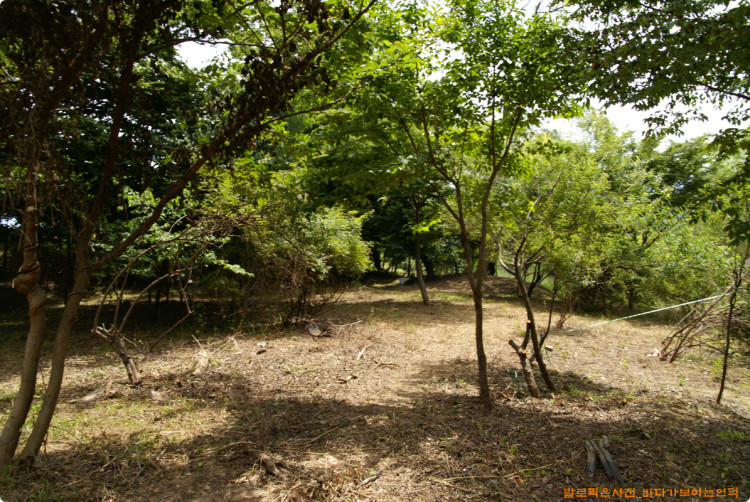 무더운 여름날 보는것 만으로도 시원하다는 느낌이 듭니다. 