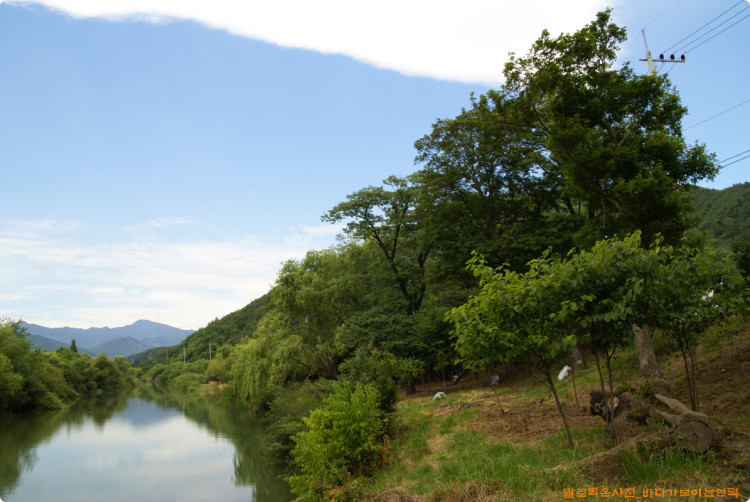 이 멋진 공간이 예전처럼 행복의 단꿈을 시작하는 많은 훼딩 촬영객들이 찾아오기를 기대합니다.