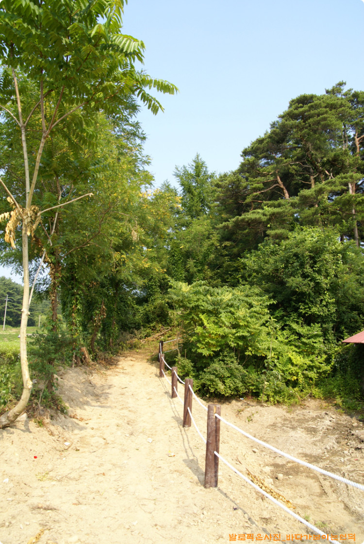 다른 입구입니다. 방부목을 사용하였습니다. 숲 안쪽에 있는 자연목을 이용한것이 더 좋아 보입니다.