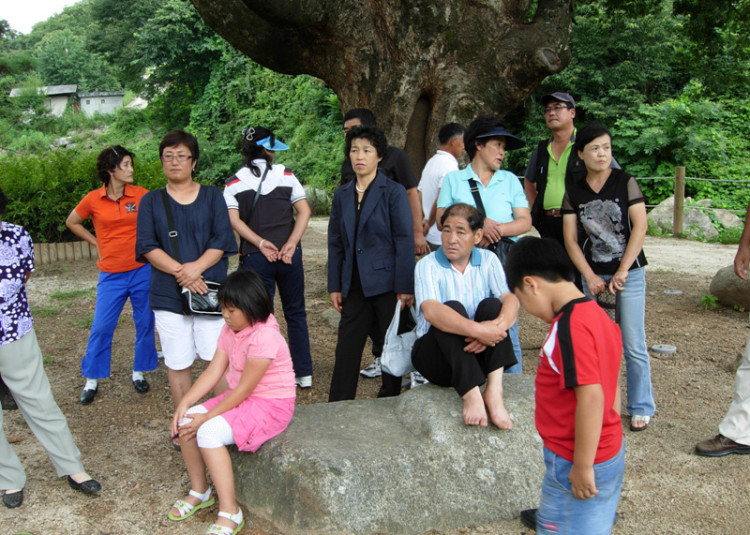 느티나무 그늘아래서