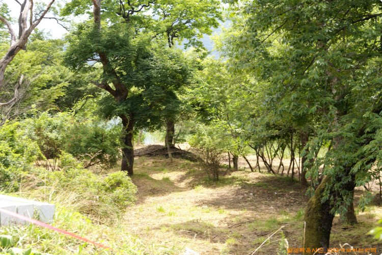 마을숲 내부도 말끔하게 정리되었습니다. 