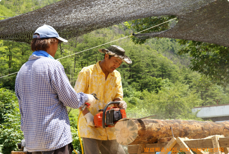 기계톱으로 자르고