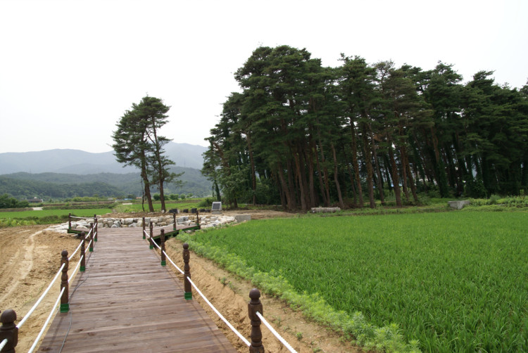 걸어들어가 보았습니다.