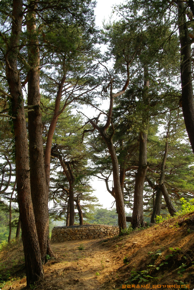 봉화대 표지석이 있는 곳으로 가는 길을 다시 만들었습니다. 