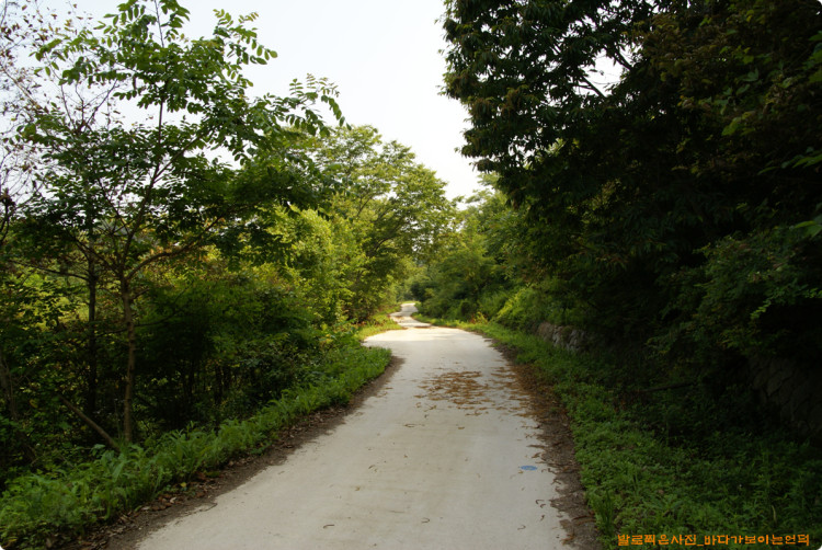 사업자문 시기에 이곳에 나무를 식재할 계획이라 하셨는데 수종이 궁금합니다. 