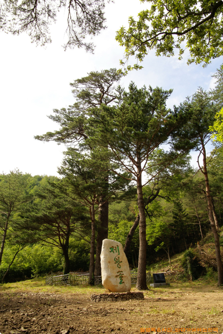 제왕솔 표지석은 제왕솔 옆으로 위치를 옮겼습니다. 