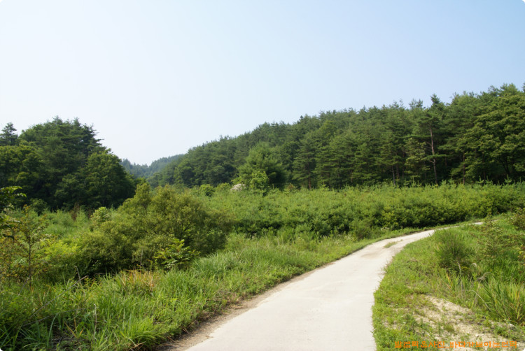 향호 뒷쪽으로 가는 길도 정비 하셨네요