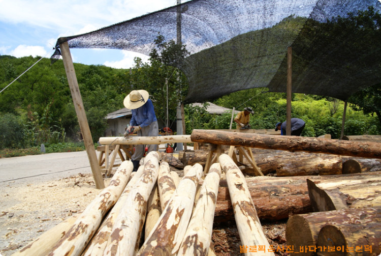 다른 한족에서는 그라이더로~~~