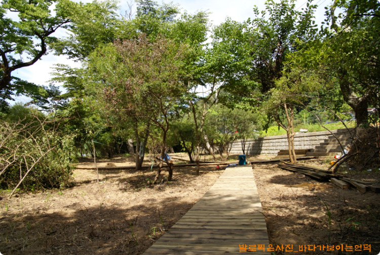 웨딩포토죤이 만들어 지고 있는 현장