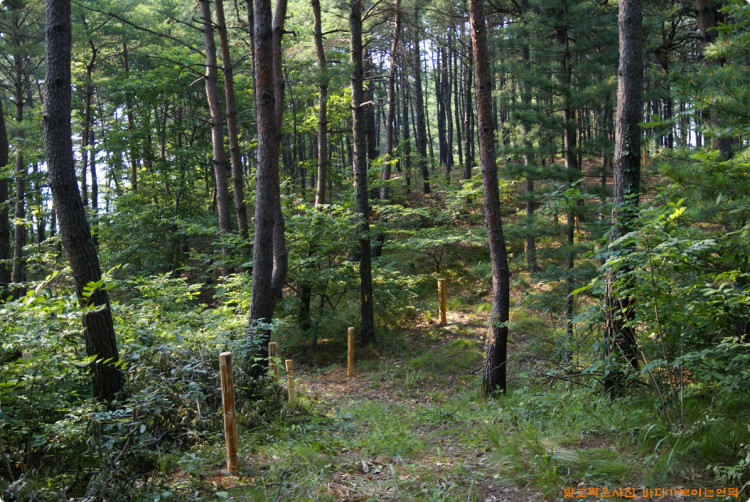 무언가 만들고 있습니다. 