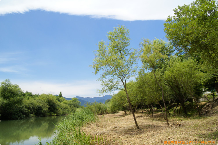 백두대간을 배경으로 좋은 그림이 나올것 같네요