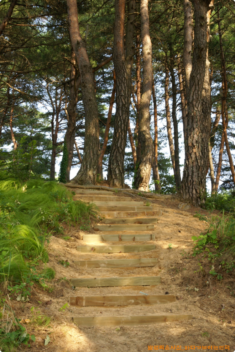 뒷산으로 오르는 계단을 만들었습니다. - 방부목을 사용하였습니다.