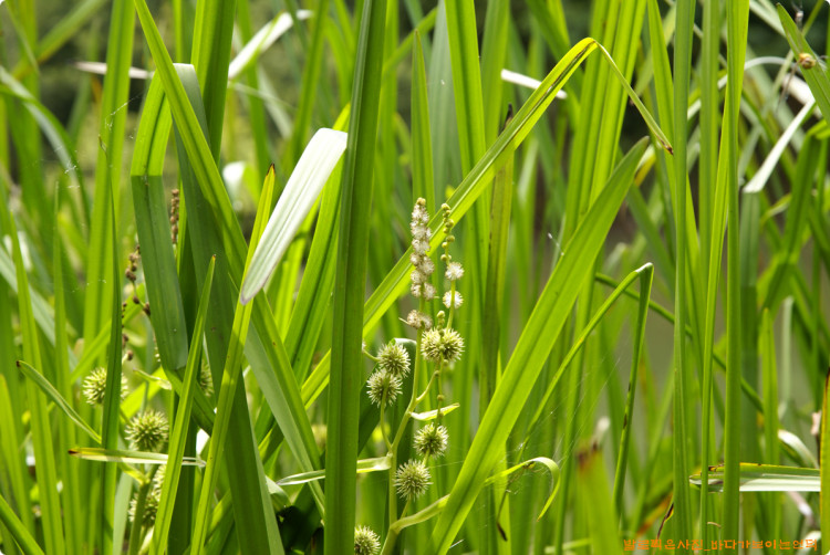 보존하기 위한 고려도 많이 하셨네요