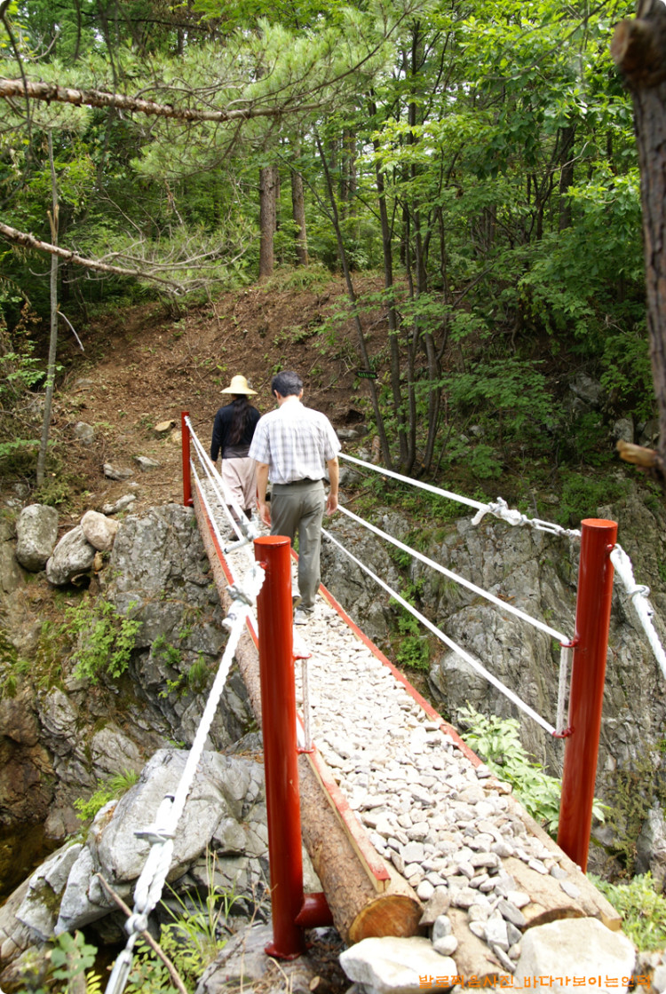 다리를 하나 새로 만들었습니다. 