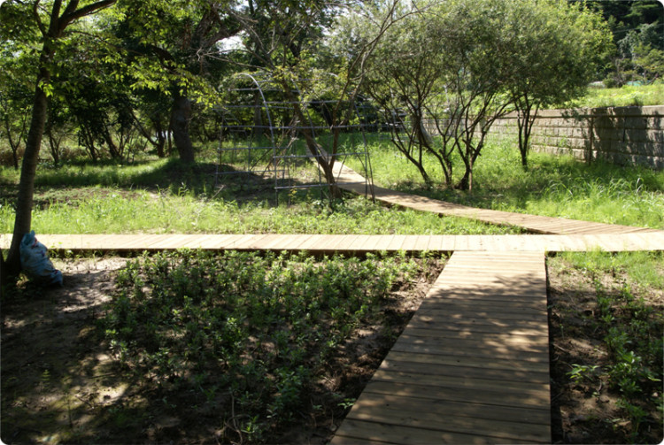 풀만 무성하던 자리에는 걸을수 있는 통로가 만들어지고