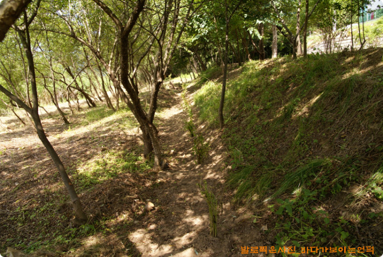 생울타리로 경계를 만들고