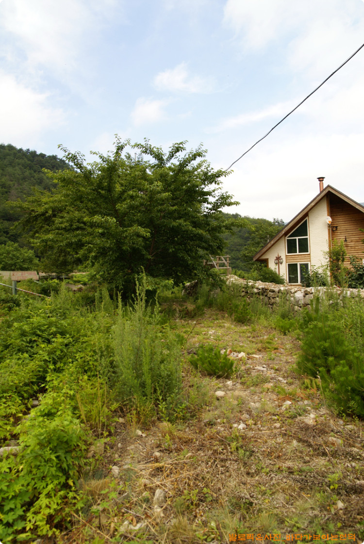 이정표다음의 길모습인데요 아직은 조금더 작업이 필요할듯 합니다. 