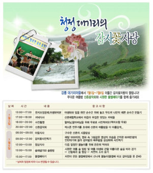 감자꽃자랑 축제